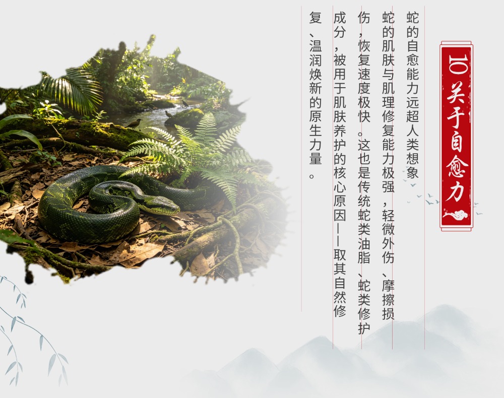 90%的人都不知道的「蛇类冷知识」｜颠覆你对蛇的固有印象 - 蟒蛇行业资讯 - 海南大蟒科技有限公司