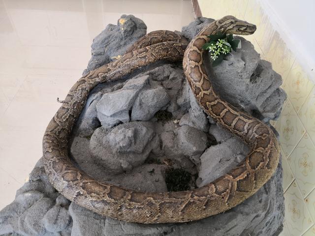 展会现场展位全景图2