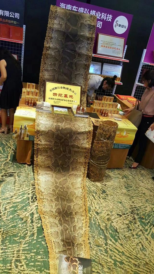 海南东成/東盛弘企业介绍及资质展示